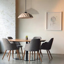 Aerlux Pendant Light