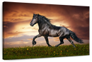 Baroque Horse Wall Art
