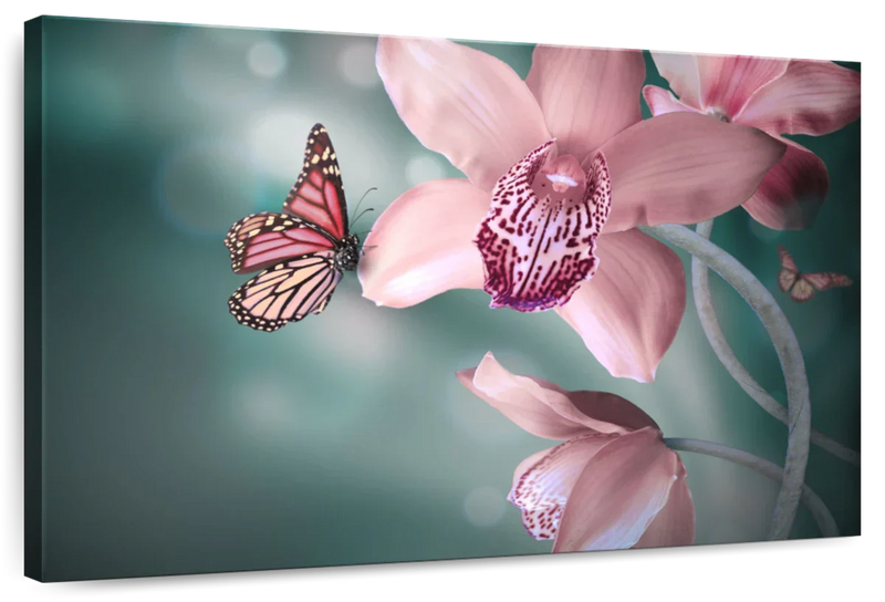 Butterfly Orchid Wall Art