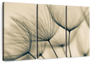 Dandelion Flower Seeds Wall Art