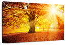 Bright Autumn Wall Art