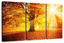 Bright Autumn Wall Art