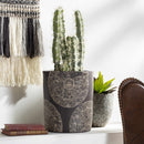 Krivodol Black Planter