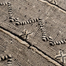Agourai - taznakht kilim rug