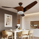 Akash Ceiling Fan