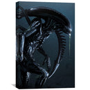Alien Xenomorph Canvas