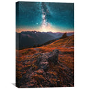 Aligned Canvas