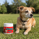 Comfort & Mobility Soft Chew Bundle | Allergy and Hip & Joint | LivHerbals, Inc.