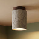 Alorium Ceiling Light