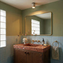 Alorium Ceiling Light