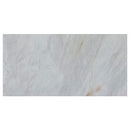 alpina white marble 24x48 polished top single view