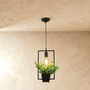 Alzahra Pendant Light