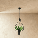 Alzahra Pendant Light