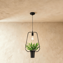 Alzahra Pendant Light