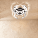 Amaryllis Ceiling Light