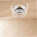Amaryllis Ceiling Light