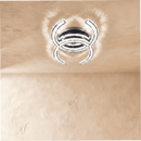 Amaryllis Ceiling Light