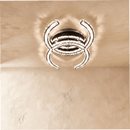 Amaryllis Ceiling Light
