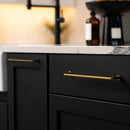 Ambara Pull Bar