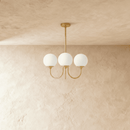 Amelia Chandelier