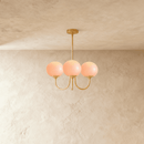 Amelia Chandelier