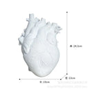 Anatomical white ceramic heart shape vase living room decor