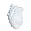 Anatomy Heart Vase Valentine's Gift