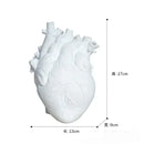 Anatomy Heart Vase Valentine's Gift