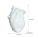 Anatomy Heart Vase Valentine's Gift