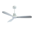 Anemone Ceiling Fan