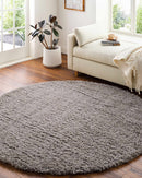 Siari Solid Medium Gray Shag Rug
