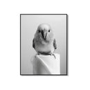 Animal Bathroom Canvas Posters