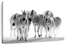 Zebras On The Move Wall Art