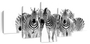 Zebras On The Move Wall Art