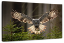 Flying Owl Wall Art