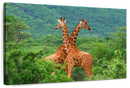 Giraffe Love Wall Art