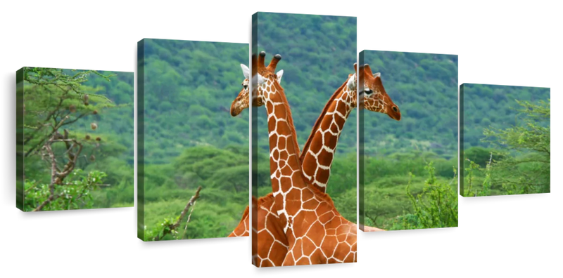 Giraffe Love Wall Art