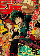 Orange Anime Kraft Poster
