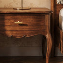 Aniq Brass Knob & Pull Bar