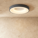 Annabelle Ceiling Light