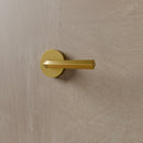 Ansa Handle and Lock