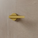 Ansa Handle and Lock