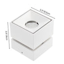Antha Ceiling Light