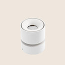 Antha Ceiling Light