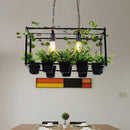 DecorBites™ Antique Black Metal Island Pendant: 2 Heads with LED Down Lighting for Restaurants, Plant Decor