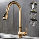 Antique Bronze Kitchen Faucet Pull Out