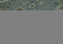 Antique Finish Multi Size Hand Knotted Oushak Silver and Beige Traditional Area Rug