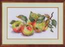 Apples 5-09 Counted Cross-Stitch Kit