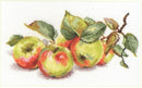 Apples 5-09 Counted Cross-Stitch Kit