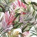 Exotic Leaves Wallpaper
